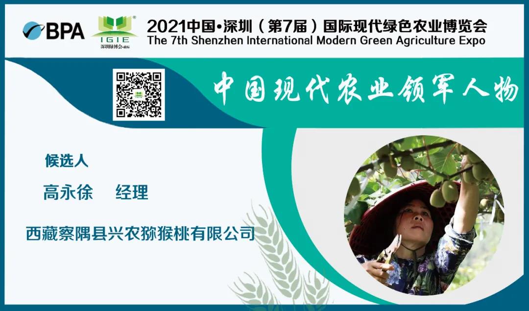 【現(xiàn)代農(nóng)業(yè)領(lǐng)軍人物】高永徐——帶領(lǐng)村民種植著甜蜜的夢。