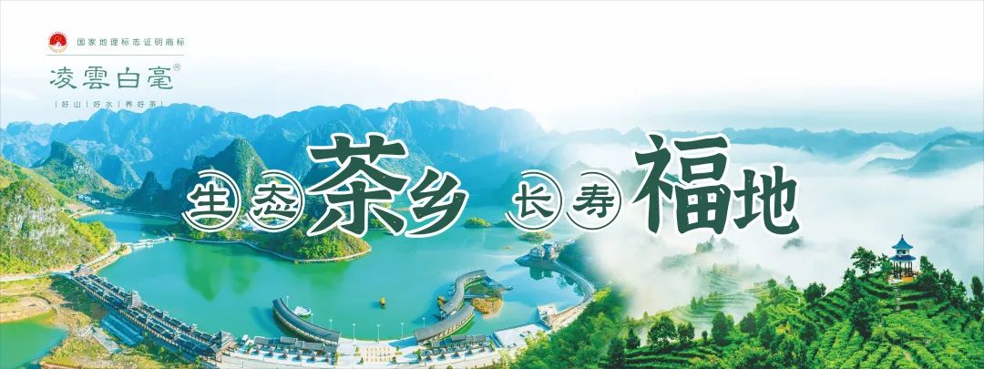 【展商風(fēng)采】壯志凌云！凌云縣農(nóng)特產(chǎn)品深圳綠博會(huì)秋季展銷會(huì)即將盛大開啟